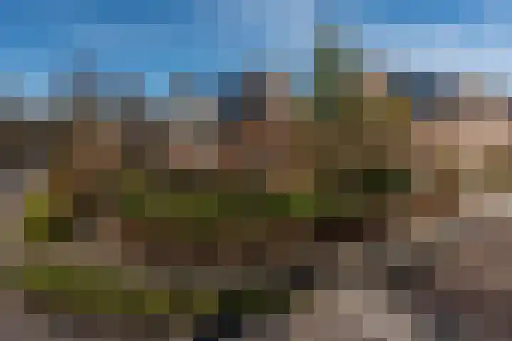 Sijzenhof 1 in Stadskanaal