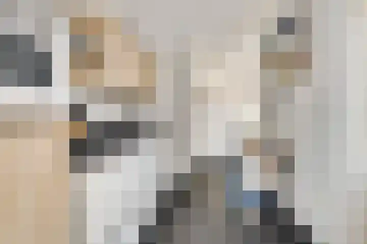 Sijzenhof 1 Elsloo thumbnail 13