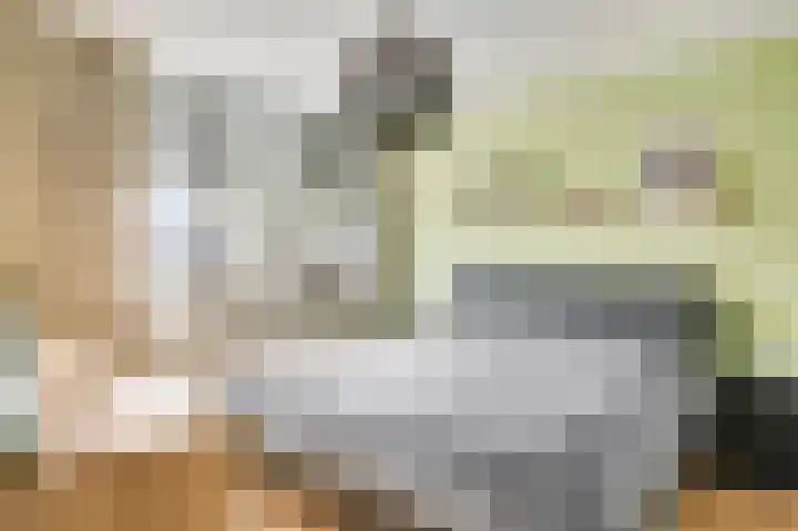 Sijzenhof 1 Elsloo thumbnail 22