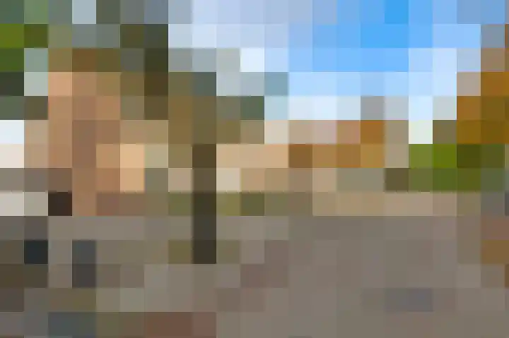Sijzenhof 1 Elsloo thumbnail 5