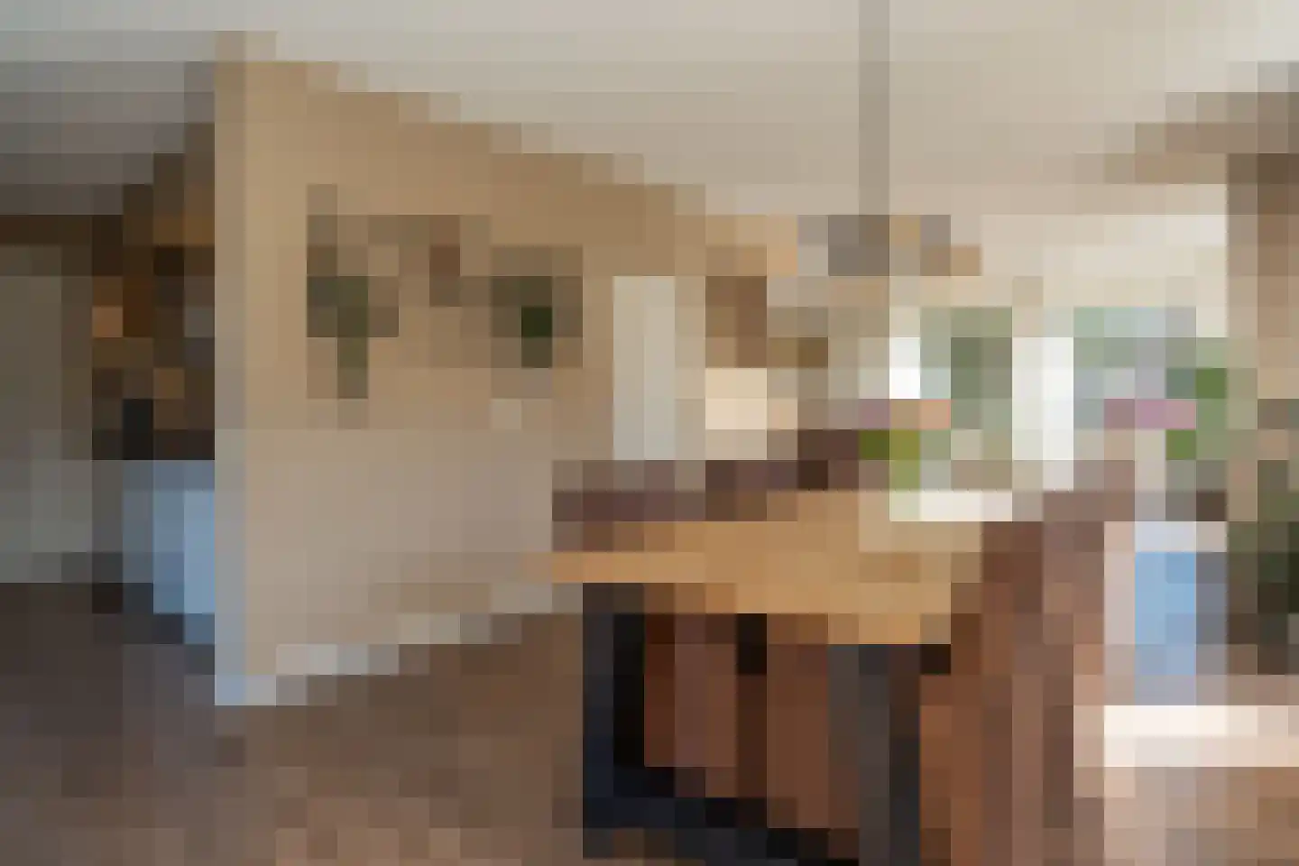Sijzenhof 1 Stadskanaal thumbnail 10