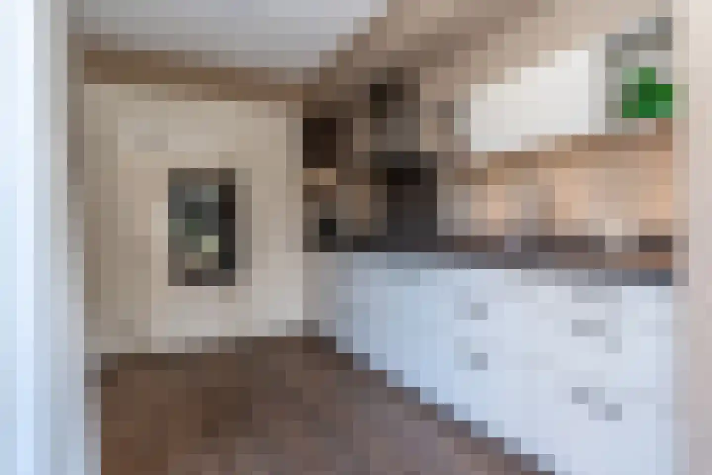 Sijzenhof 1 Stadskanaal thumbnail 11