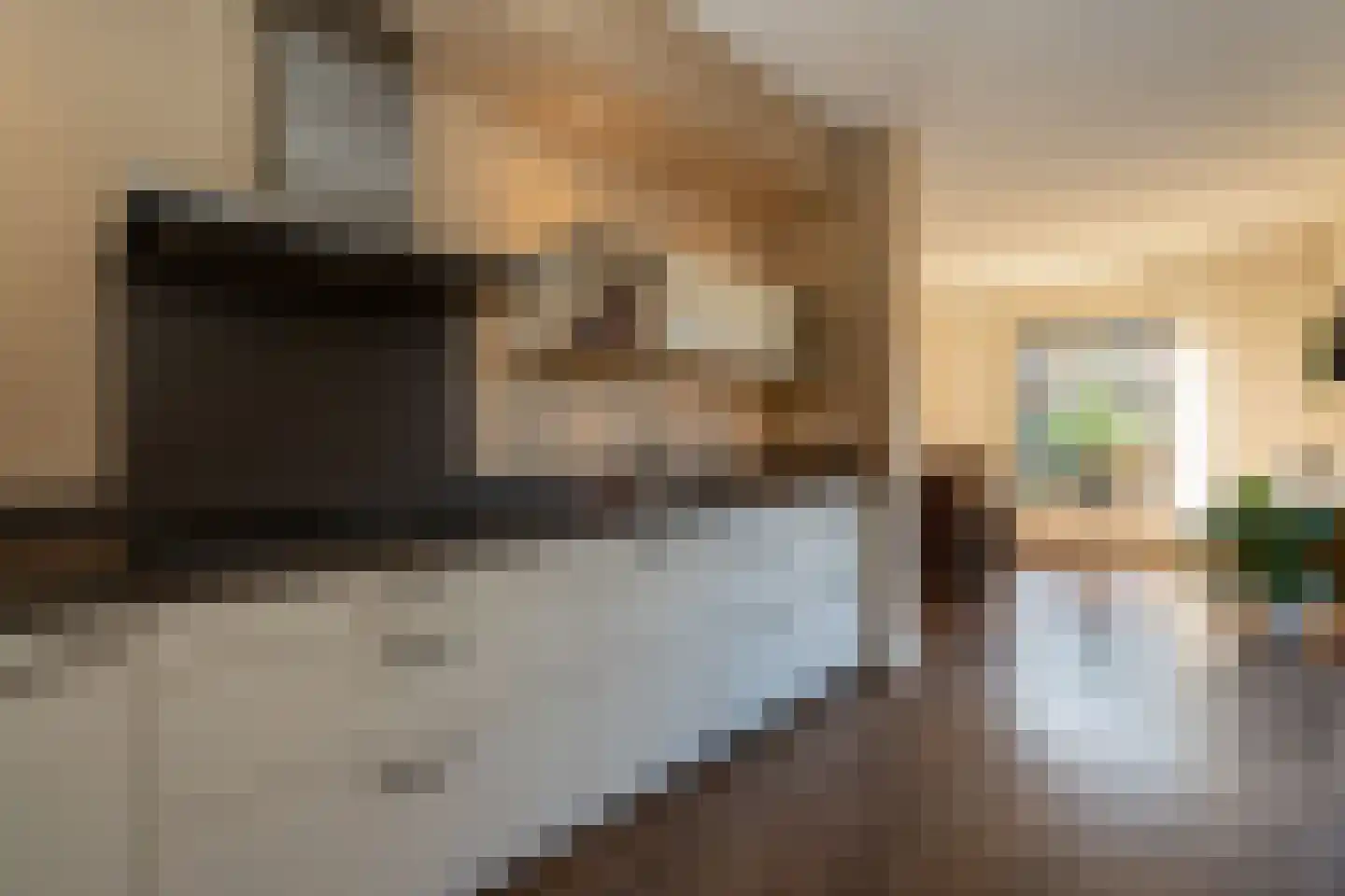 Sijzenhof 1 Stadskanaal thumbnail 13