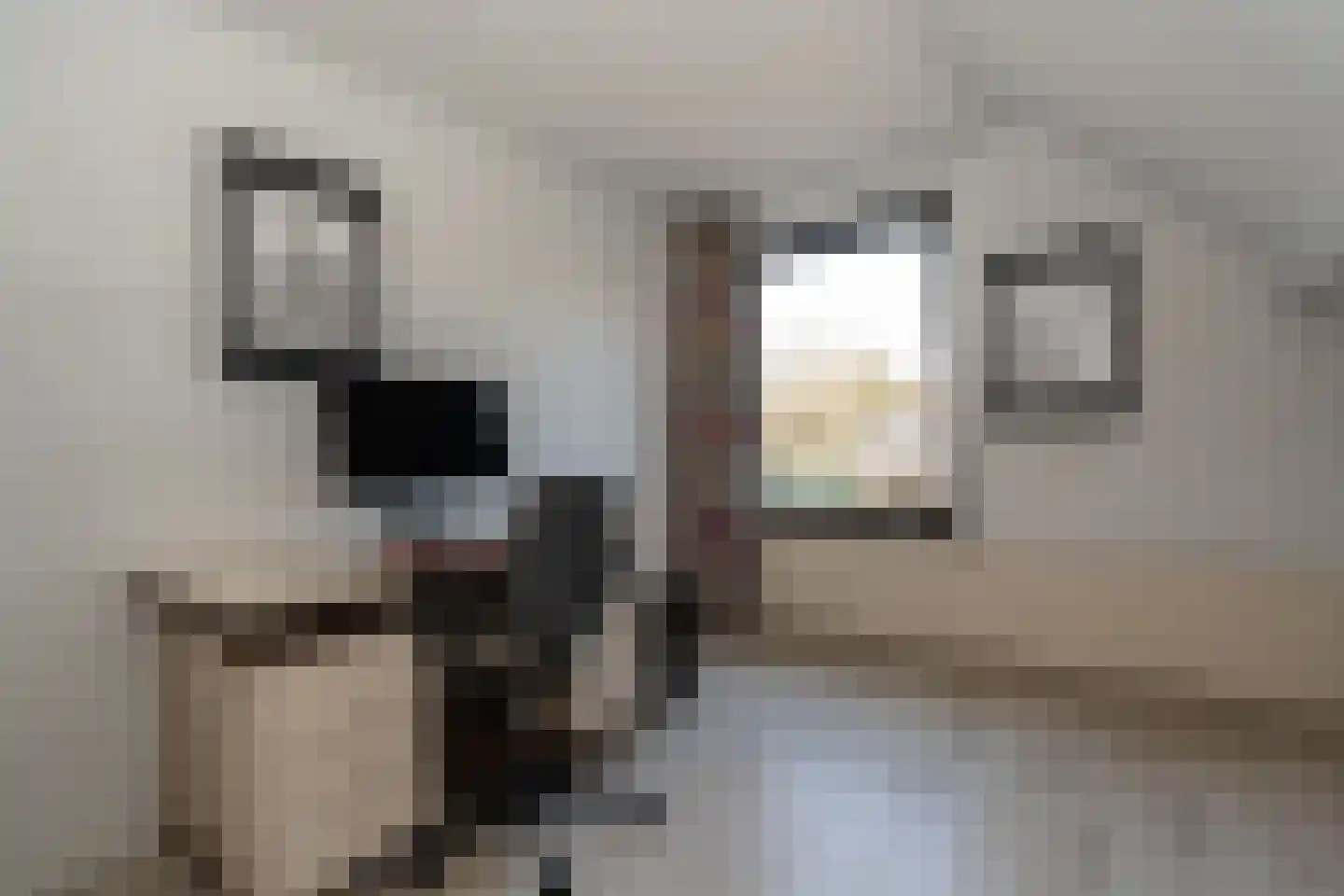 Sijzenhof 1 Stadskanaal thumbnail 31