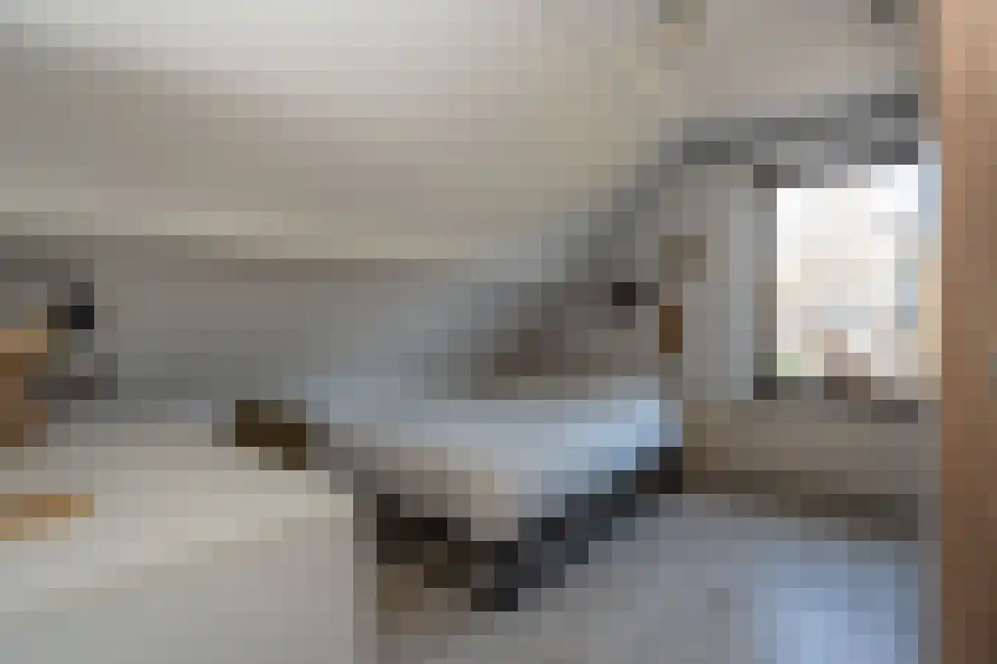 Sijzenhof 1 Stadskanaal thumbnail 34