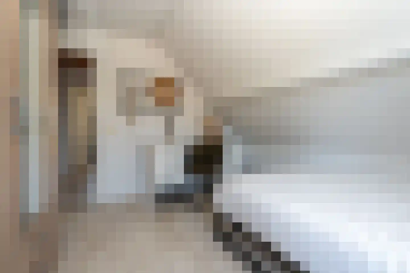 Sijzenhof 1 Stadskanaal thumbnail 35
