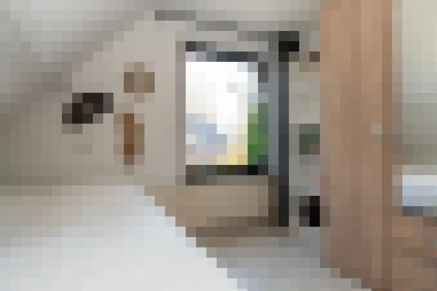 Sijzenhof 1 Stadskanaal thumbnail 36