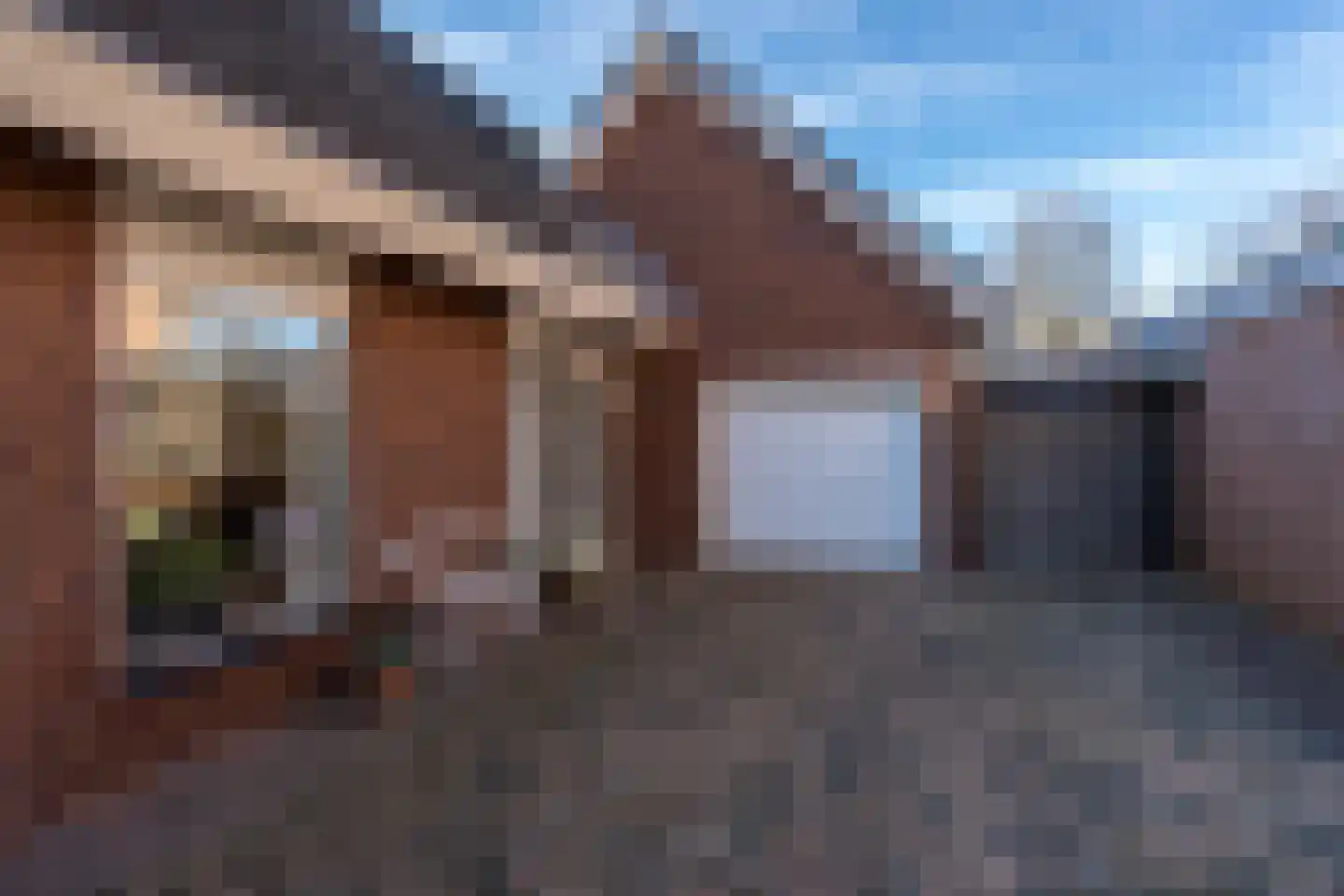 Sijzenhof 1 Stadskanaal thumbnail 51