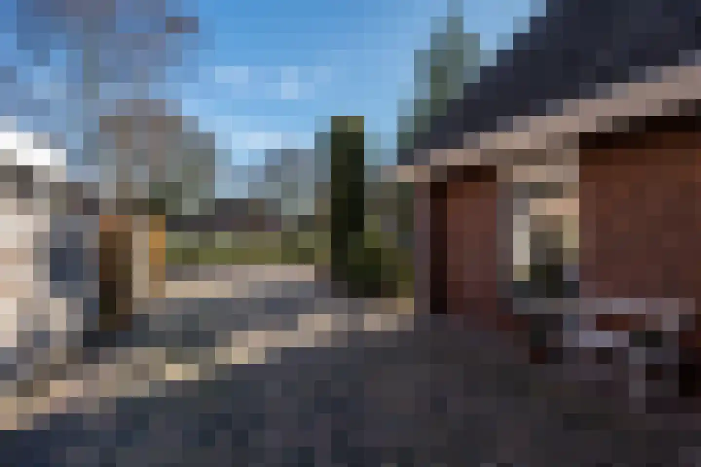 Sijzenhof 1 Stadskanaal thumbnail 52
