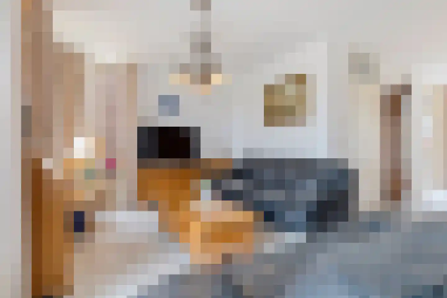 Sijzenhof 30 Elsloo thumbnail 13