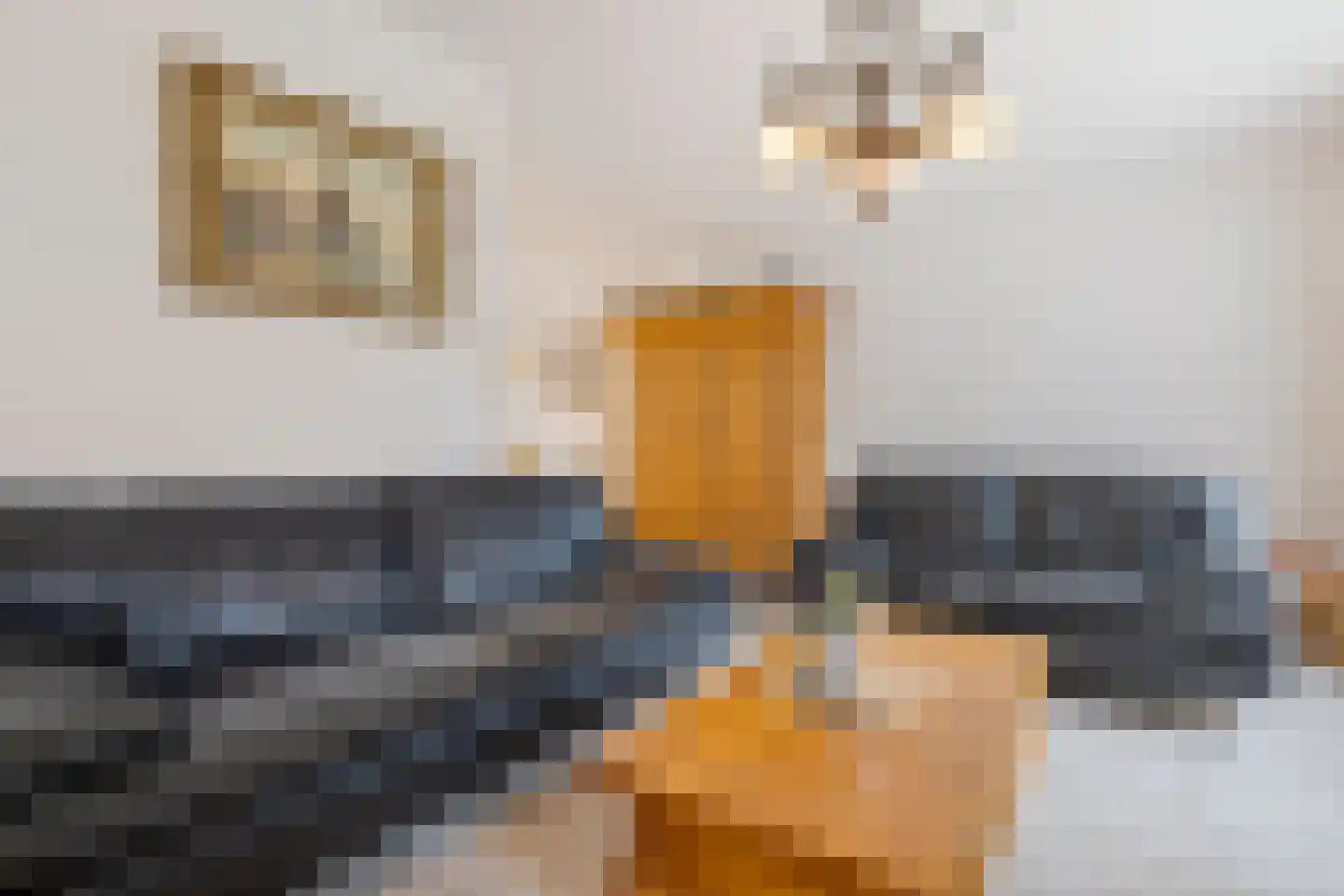 Sijzenhof 30 Elsloo thumbnail 15
