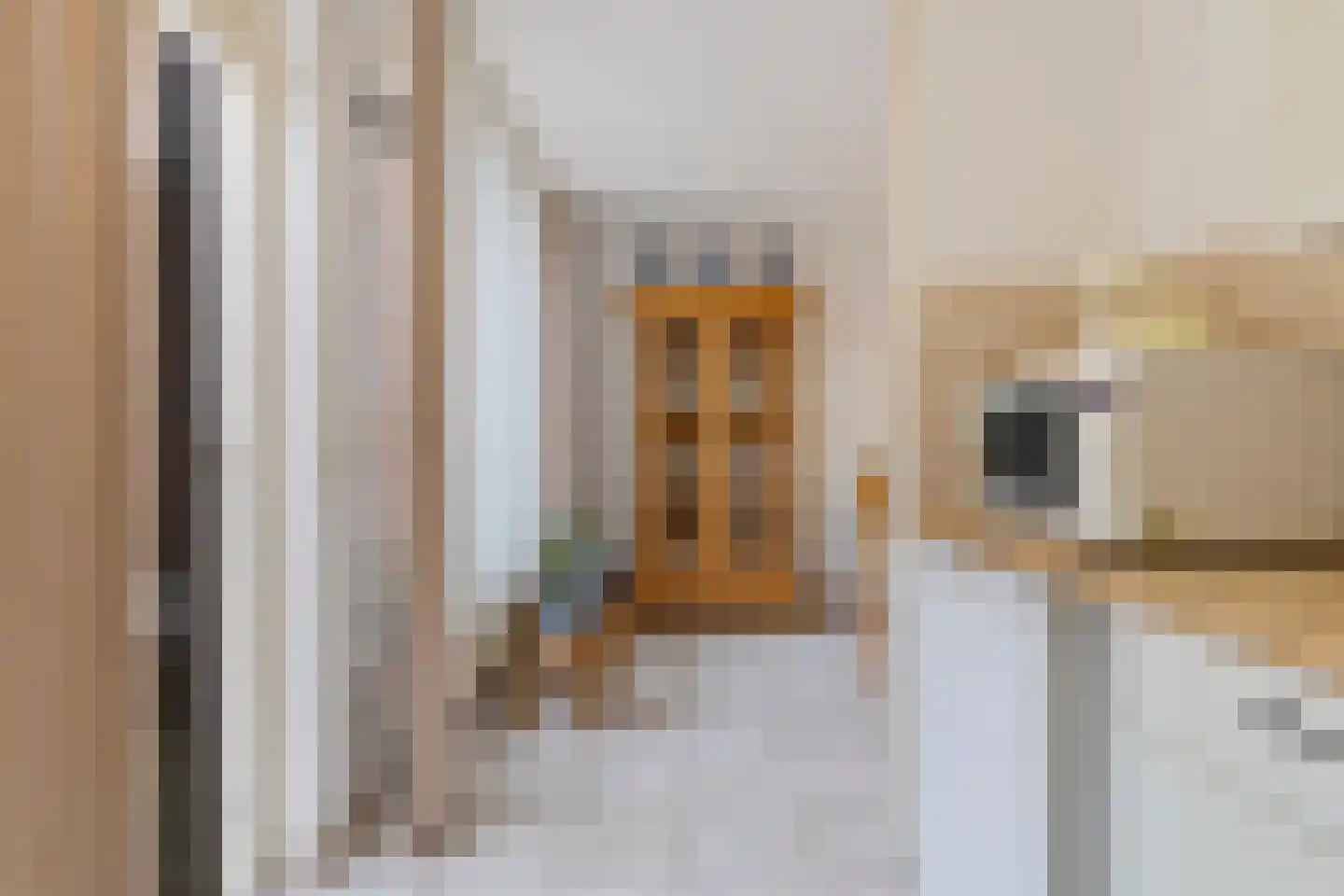 Sijzenhof 30 Elsloo thumbnail 22
