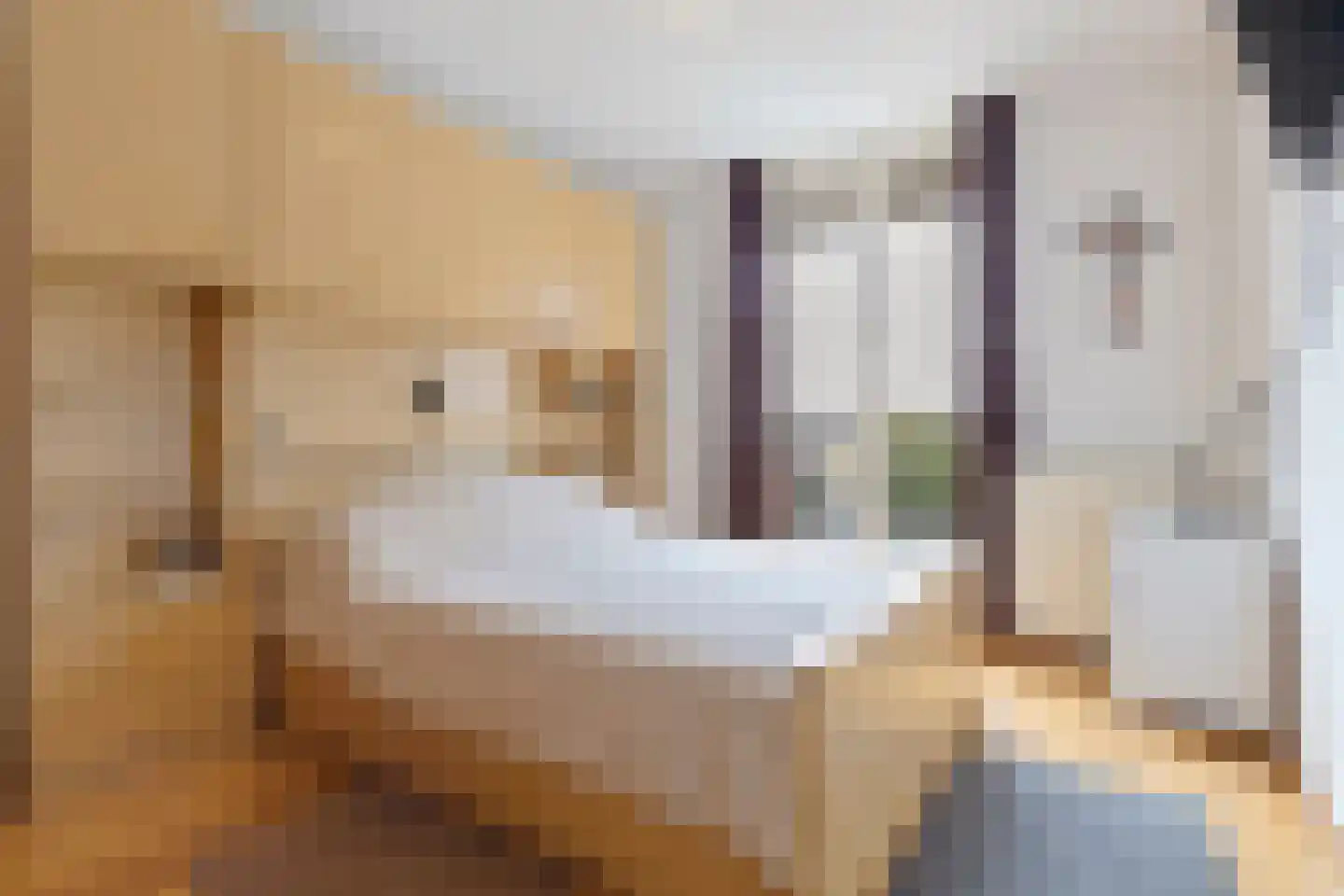 Sijzenhof 30 Elsloo thumbnail 27