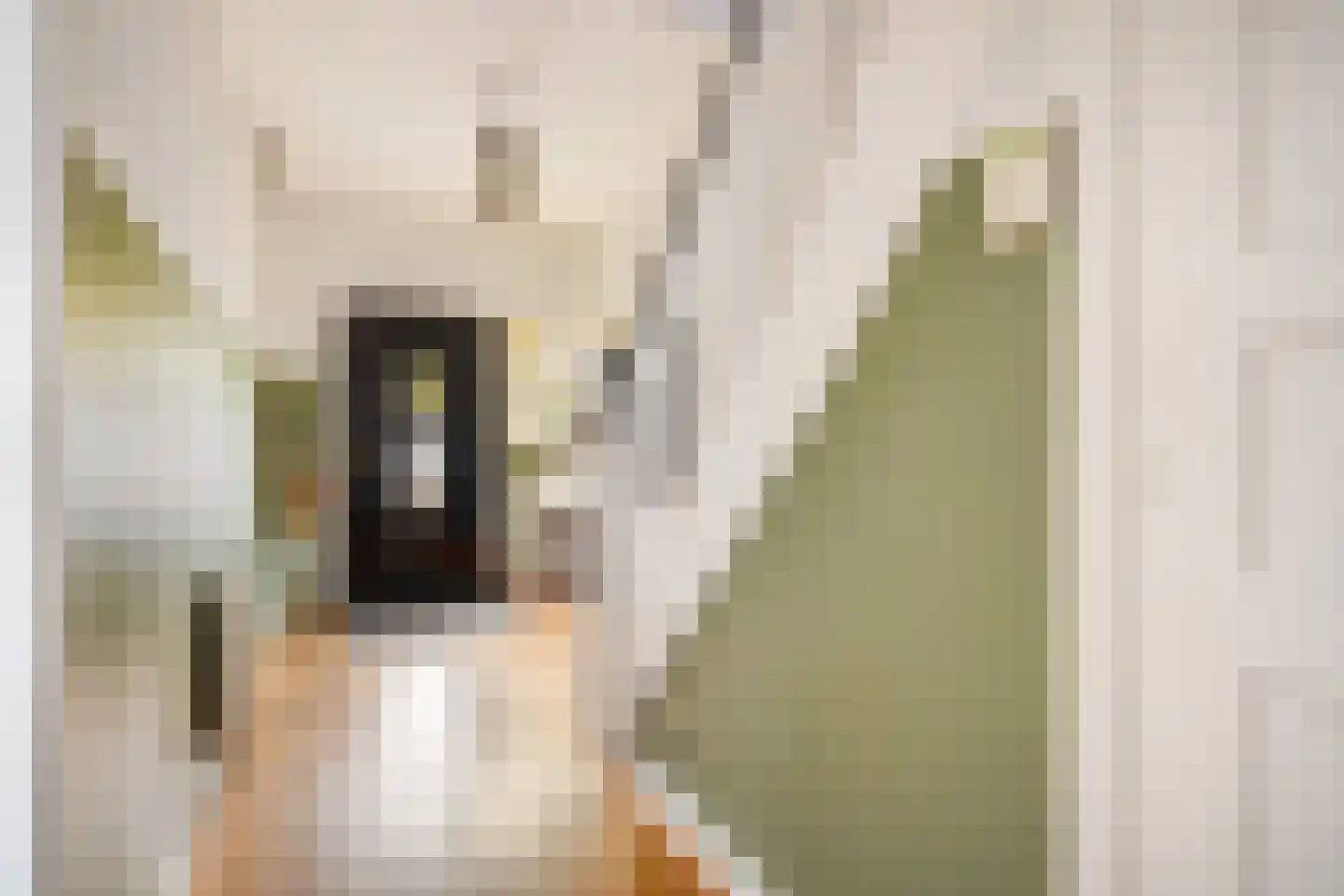 Sijzenlaan 19 Den Haag thumbnail 11
