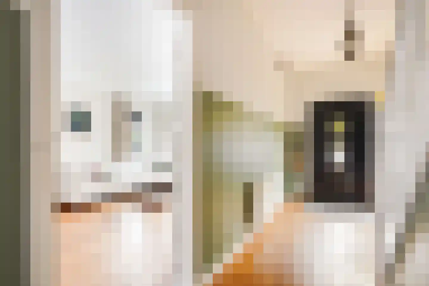 Sijzenlaan 19 Den Haag thumbnail 12