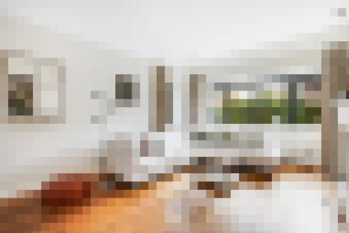 Sijzenlaan 19 Den Haag thumbnail 13