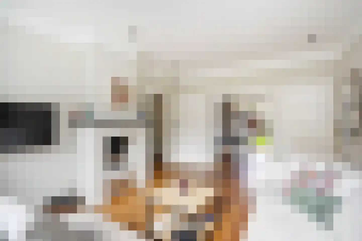 Sijzenlaan 19 Den Haag thumbnail 15