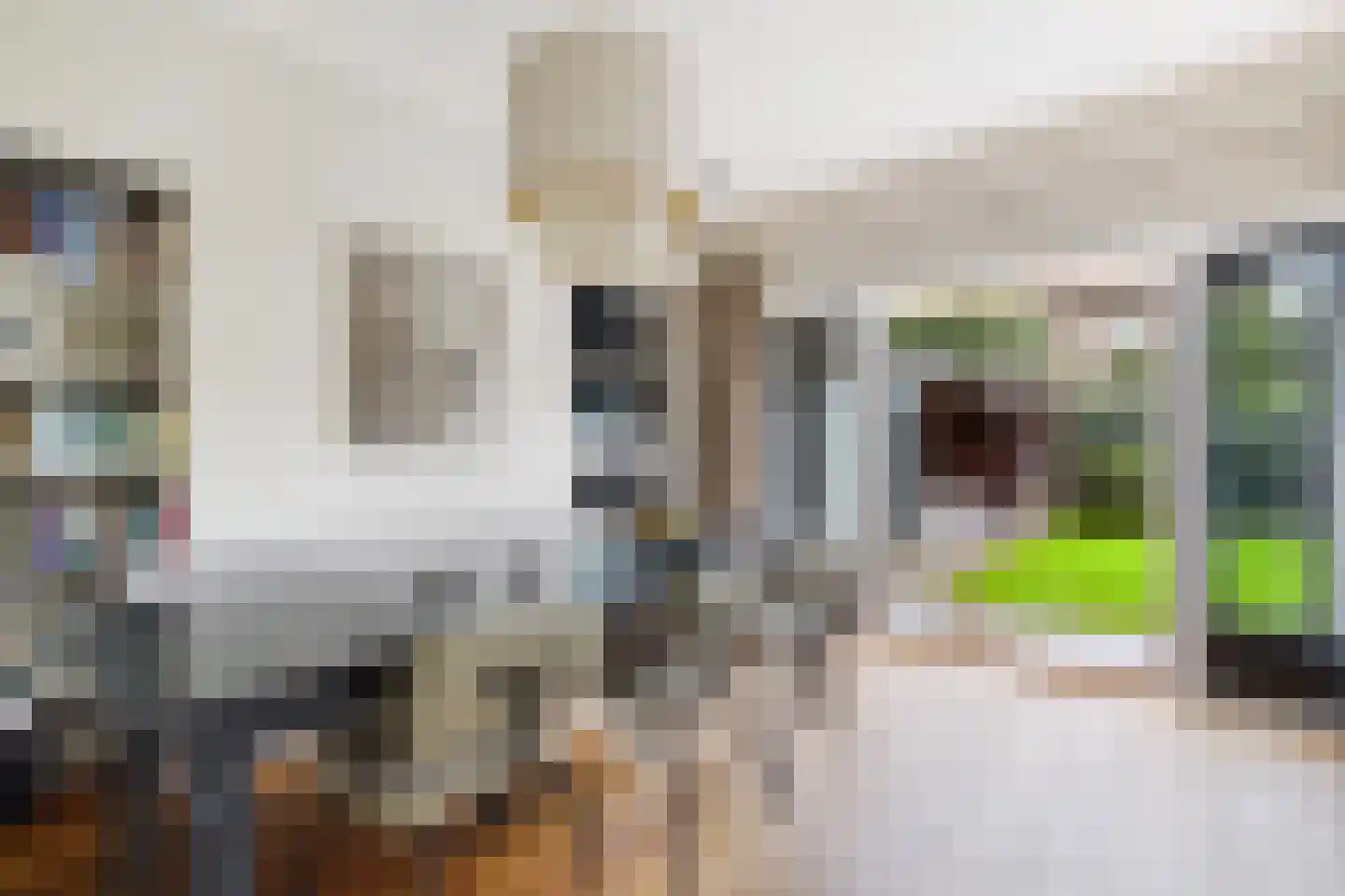 Sijzenlaan 19 Den Haag thumbnail 16