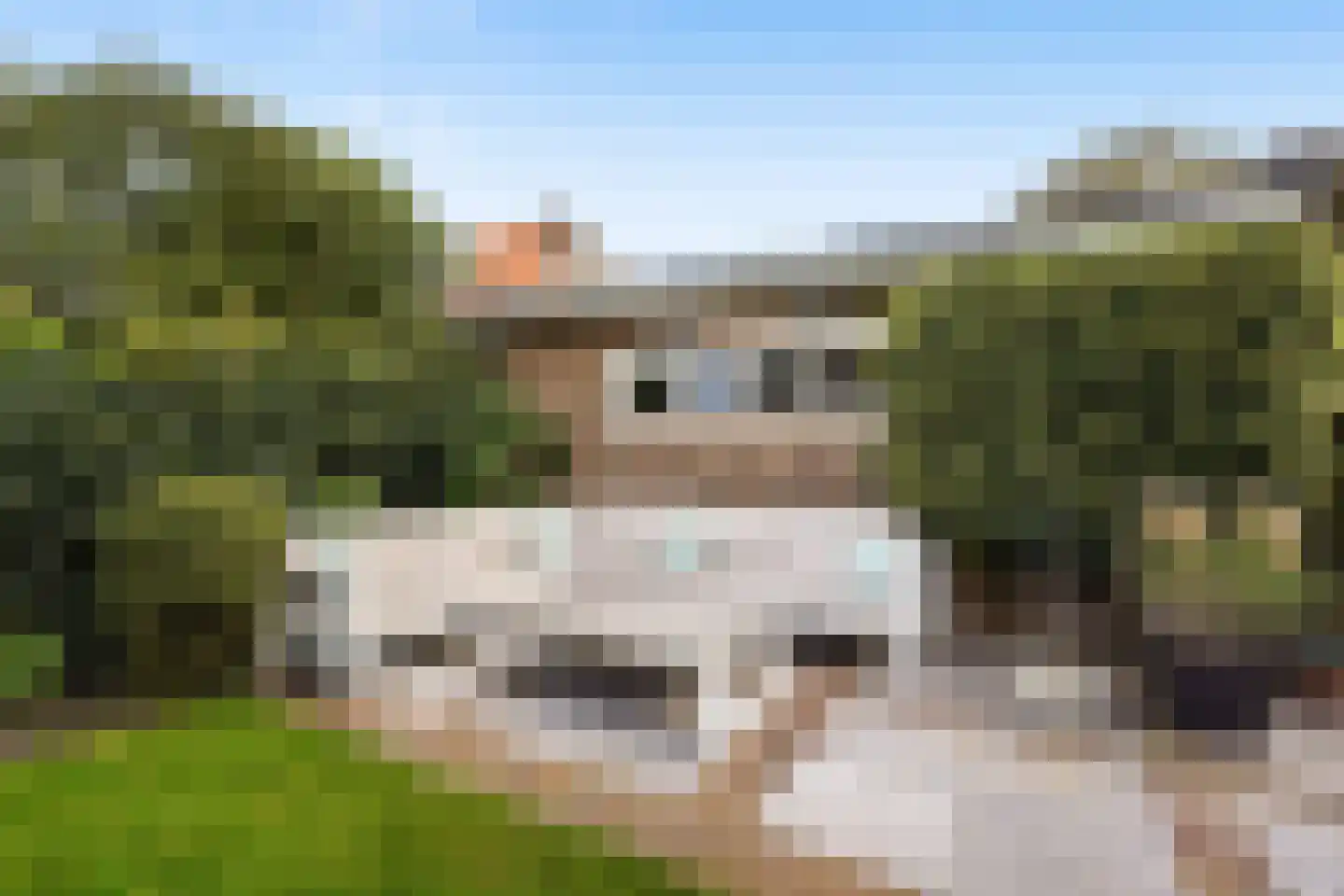 Sijzenlaan 19 Den Haag thumbnail 21