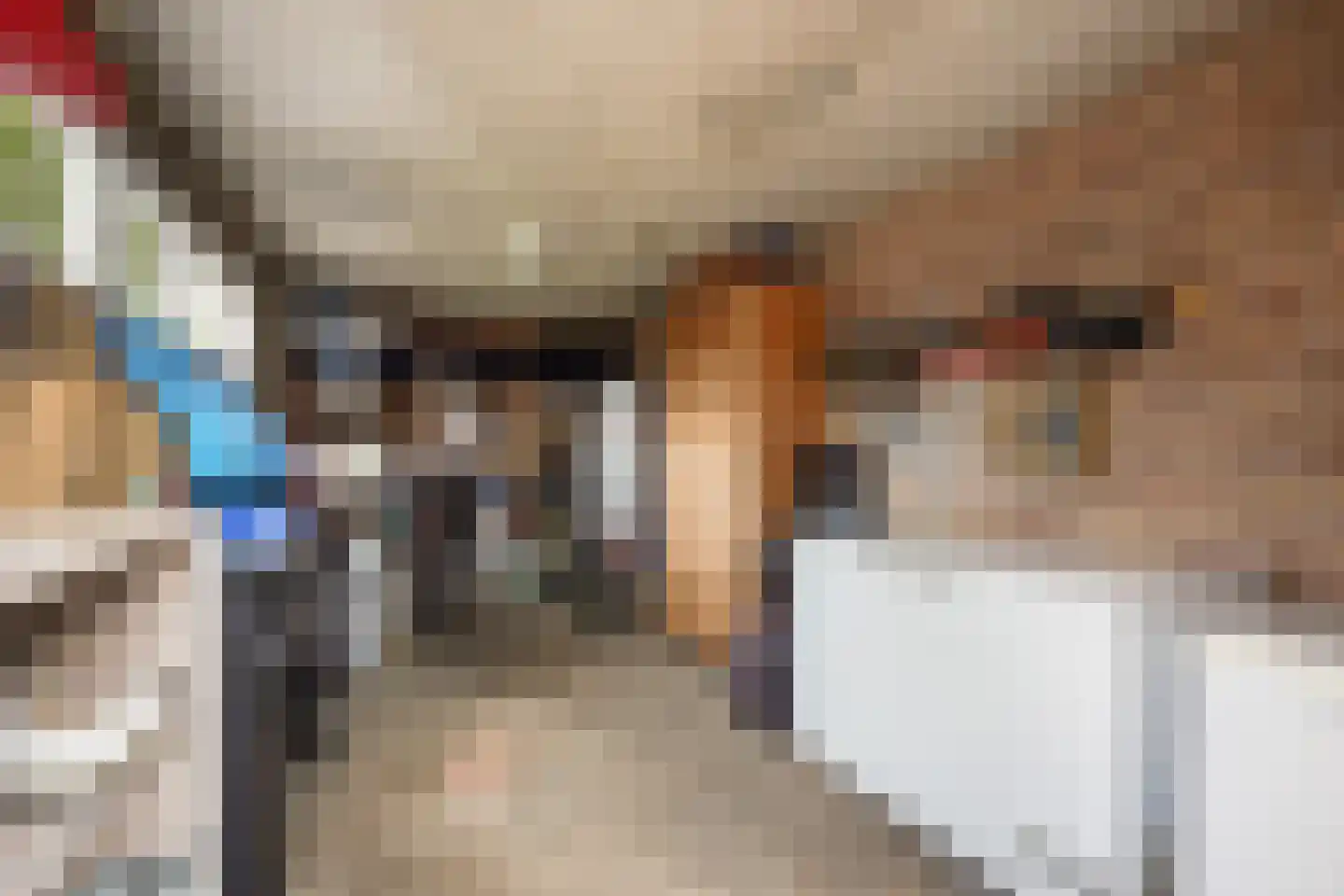 Sijzenlaan 19 Den Haag thumbnail 23