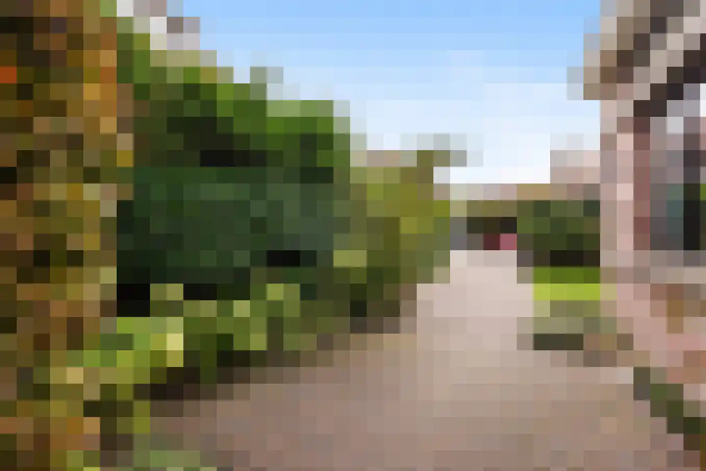 Sijzenlaan 19 Den Haag thumbnail 26