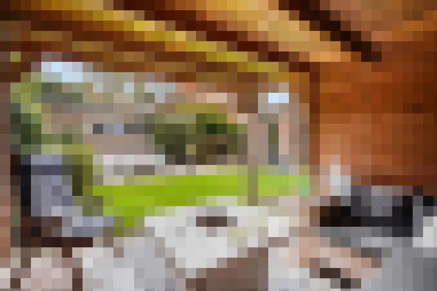 Sijzenlaan 19 Den Haag thumbnail 34