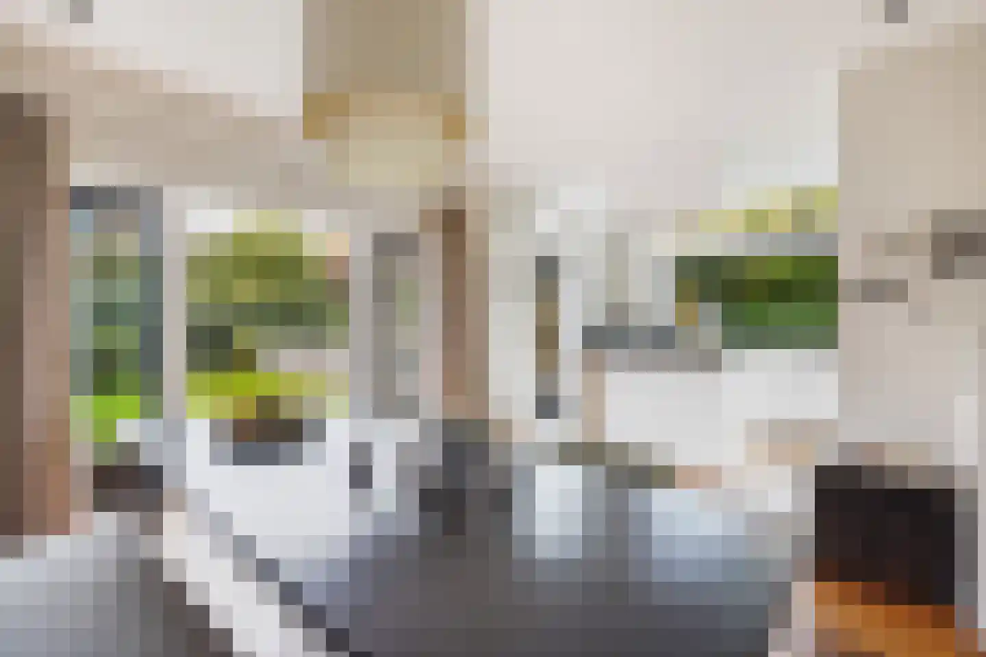 Sijzenlaan 19 Den Haag thumbnail 39