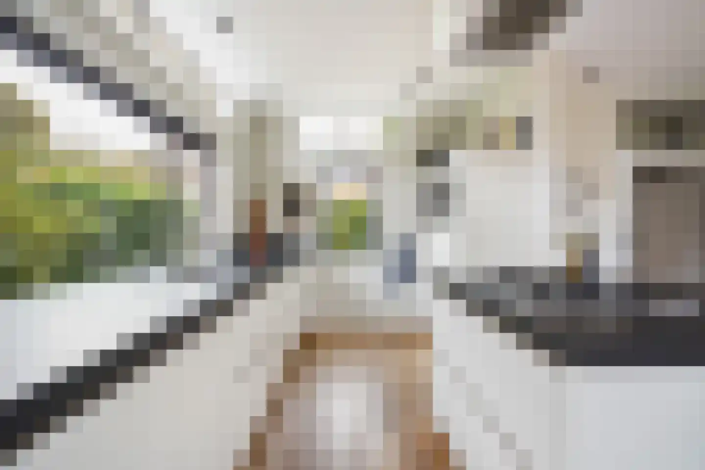 Sijzenlaan 19 Den Haag thumbnail 42
