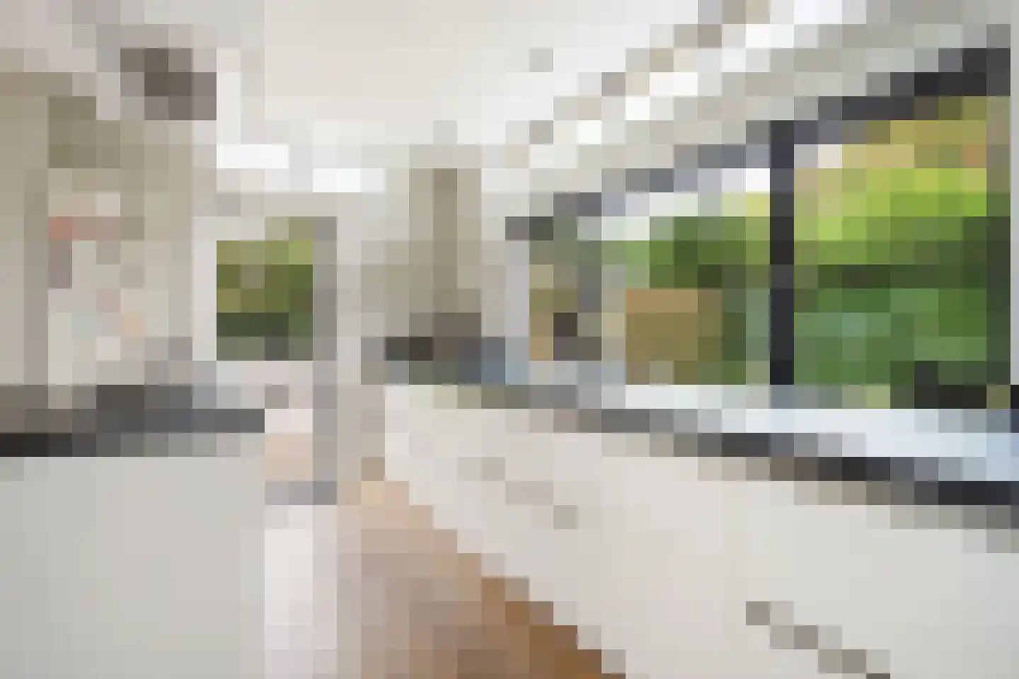 Sijzenlaan 19 Den Haag thumbnail 44