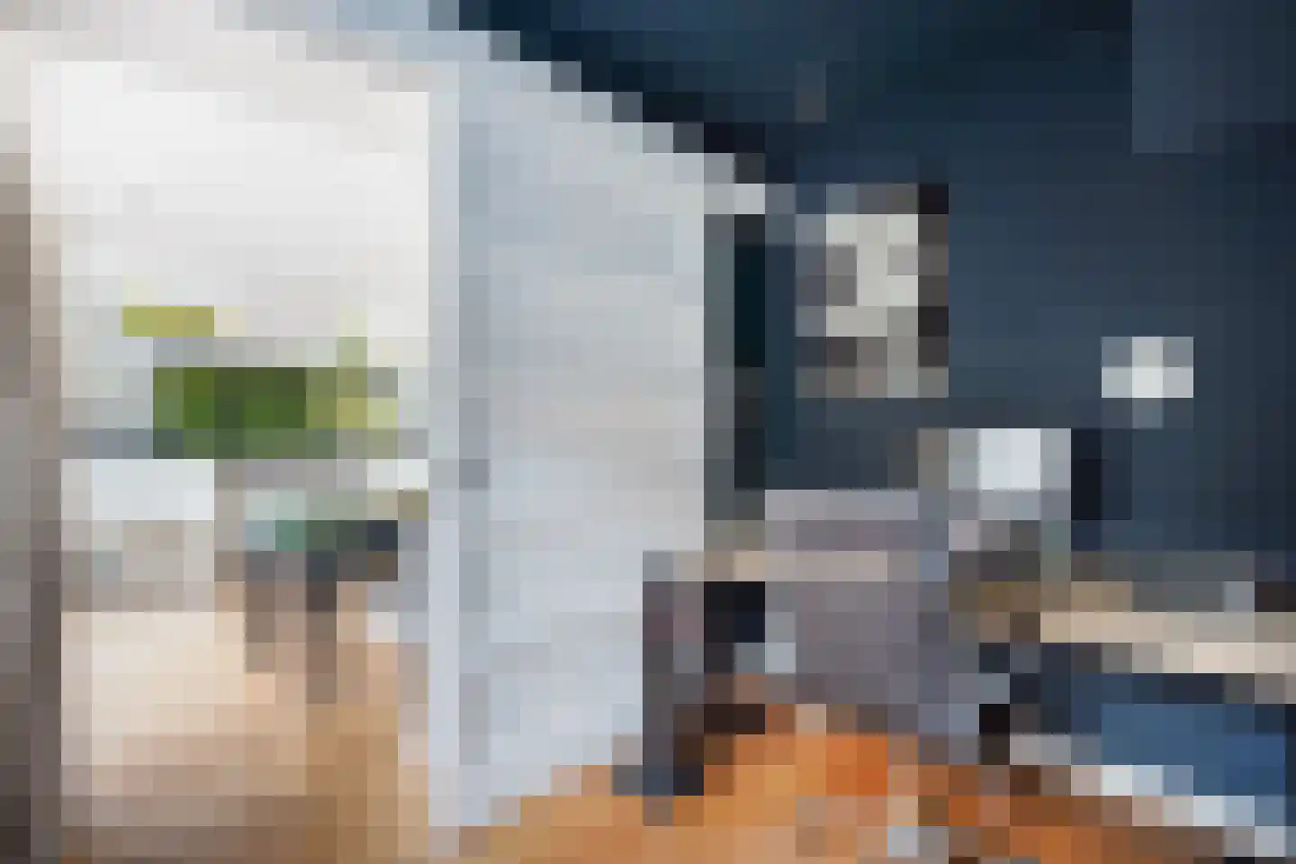 Sijzenlaan 19 Den Haag thumbnail 48