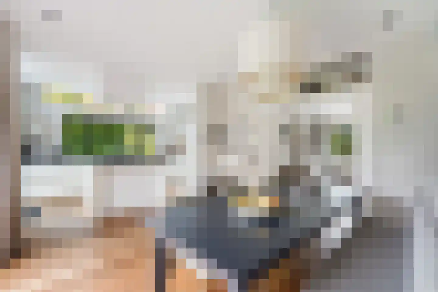 Sijzenlaan 19 Den Haag thumbnail 49