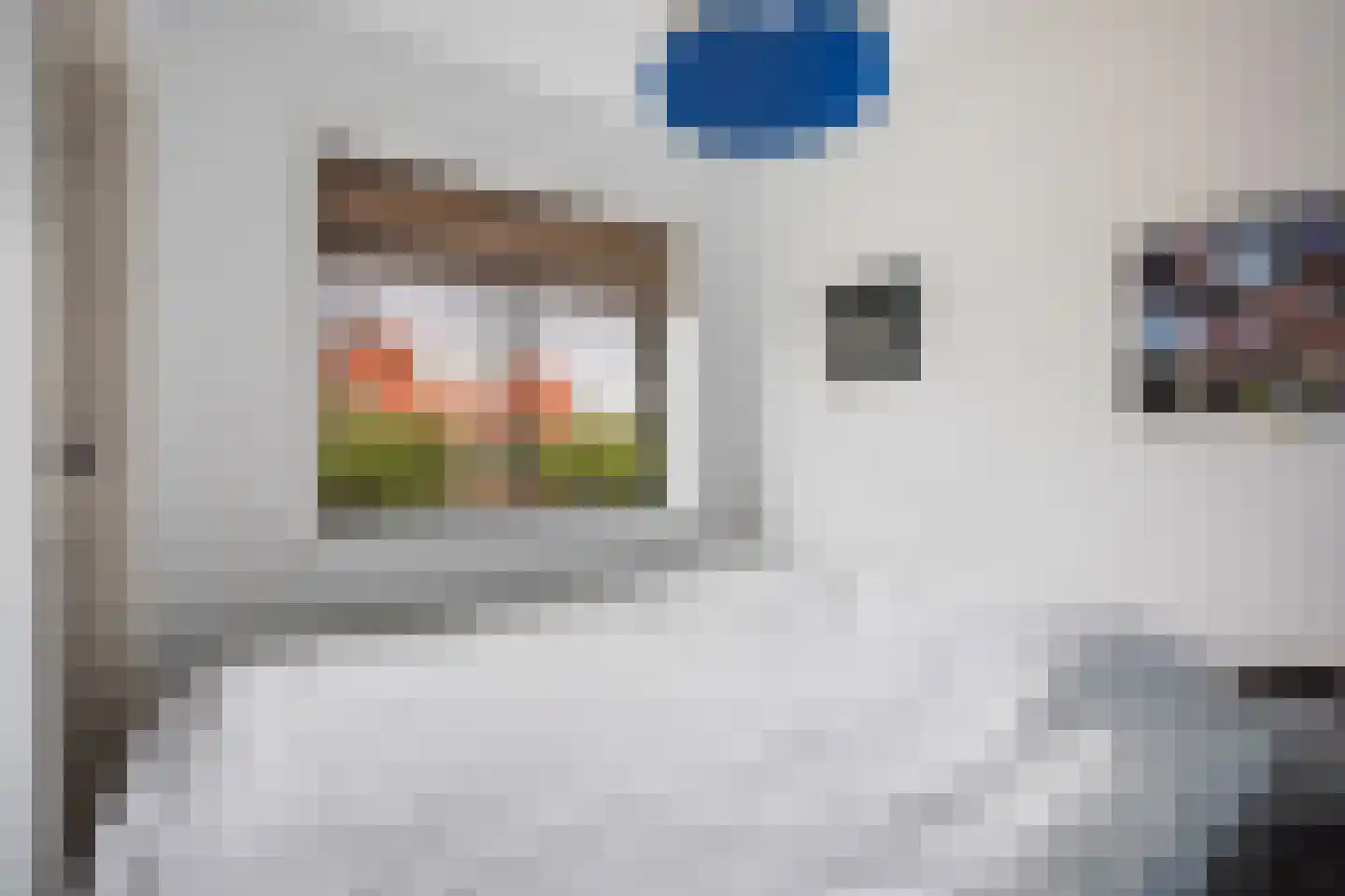 Sijzenlaan 19 Den Haag thumbnail 51