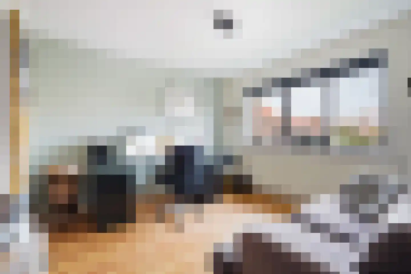 Sijzenlaan 19 Den Haag thumbnail 53