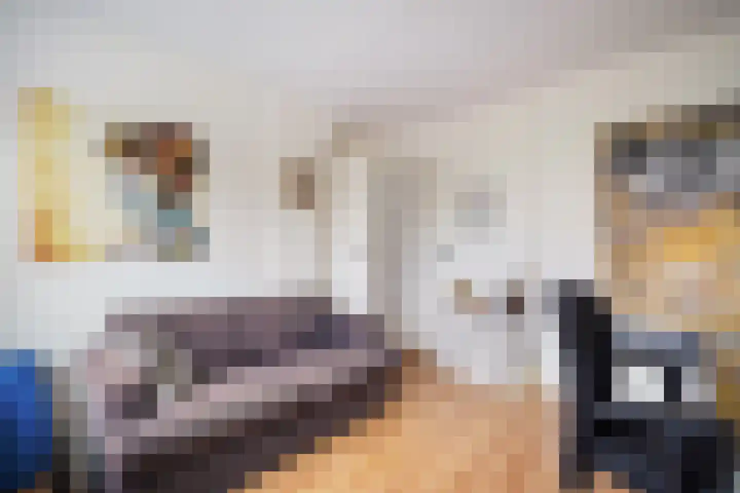 Sijzenlaan 19 Den Haag thumbnail 54