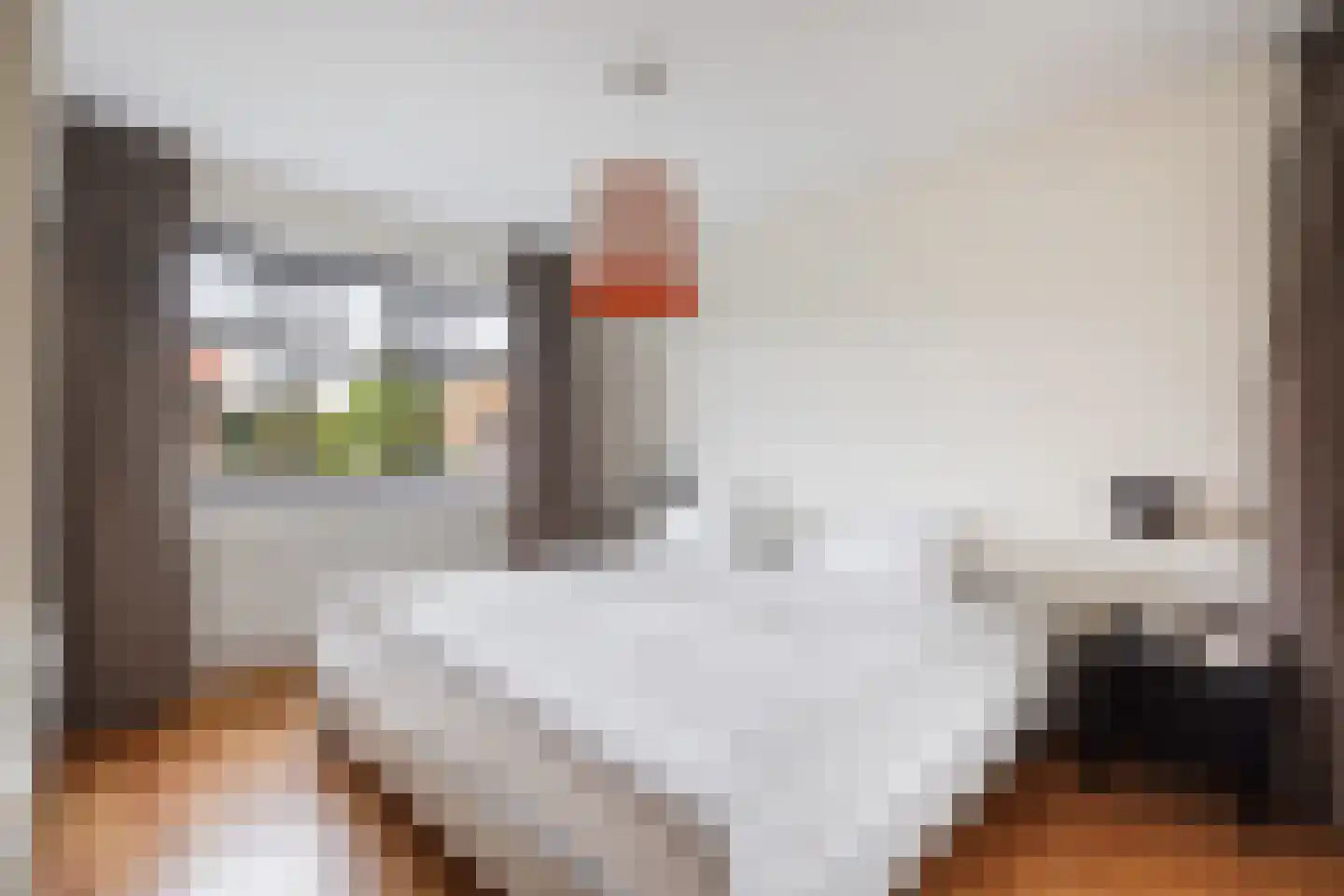 Sijzenlaan 19 Den Haag thumbnail 55