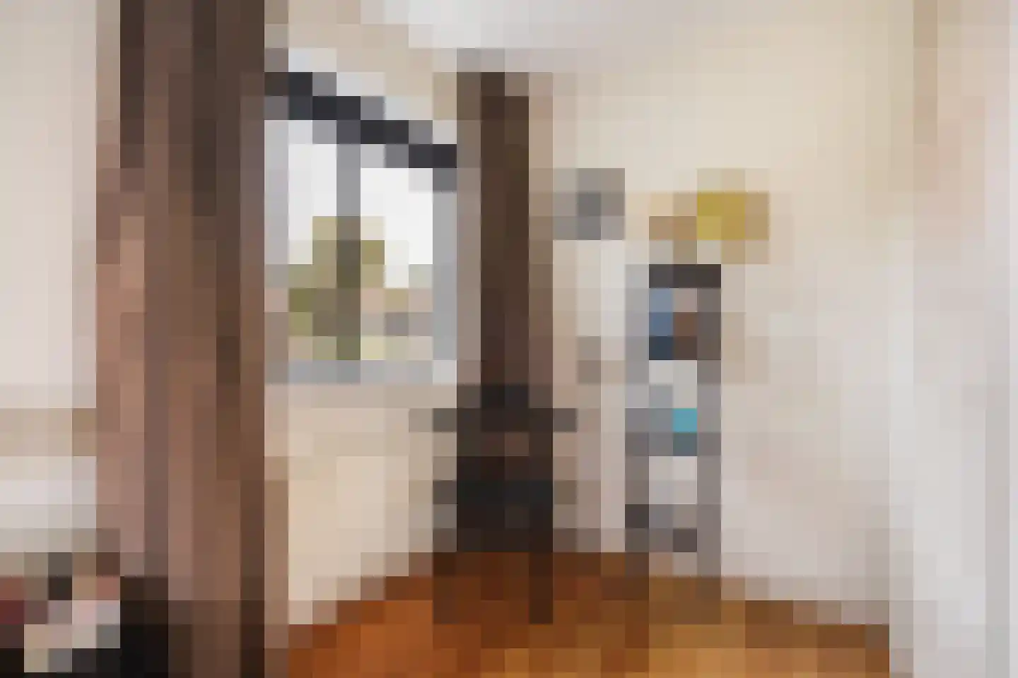 Sijzenlaan 19 Den Haag thumbnail 56