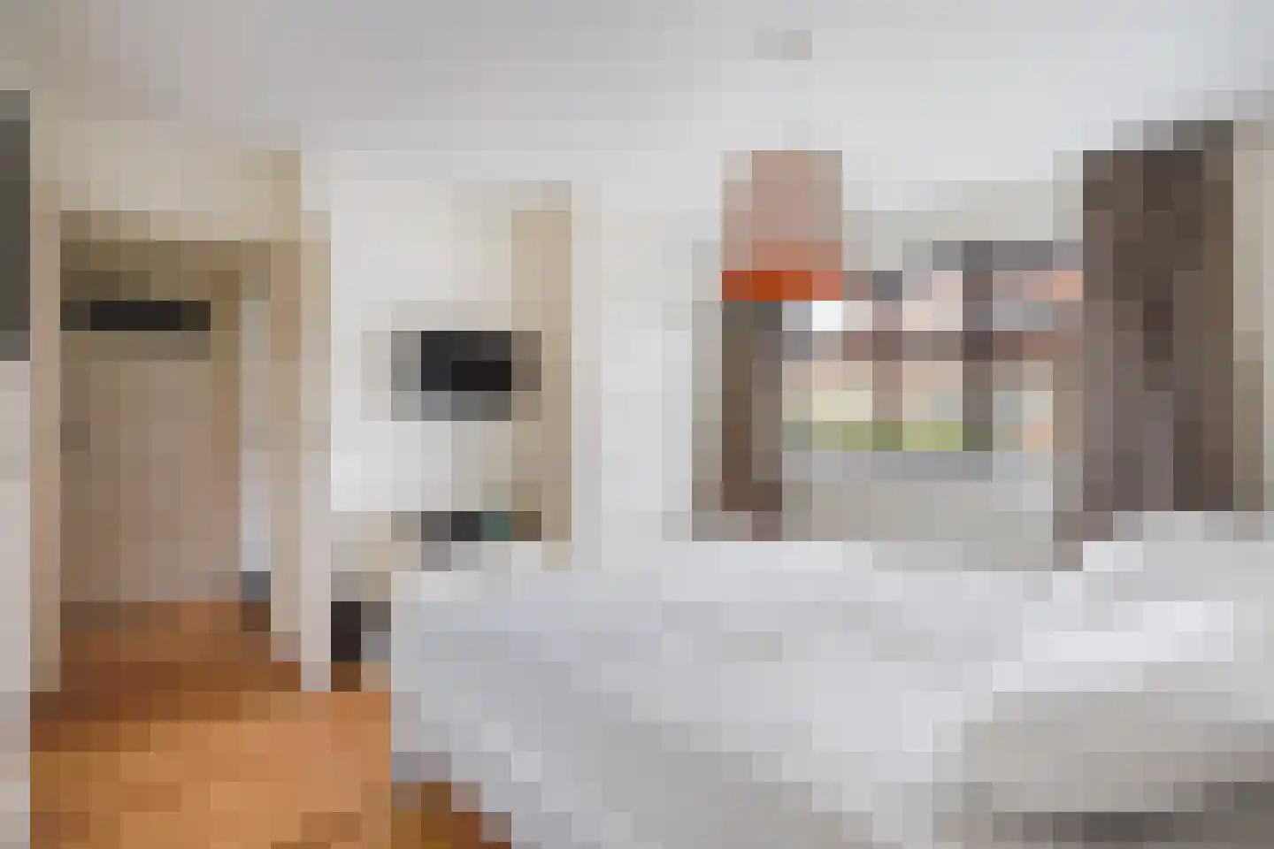 Sijzenlaan 19 Den Haag thumbnail 57