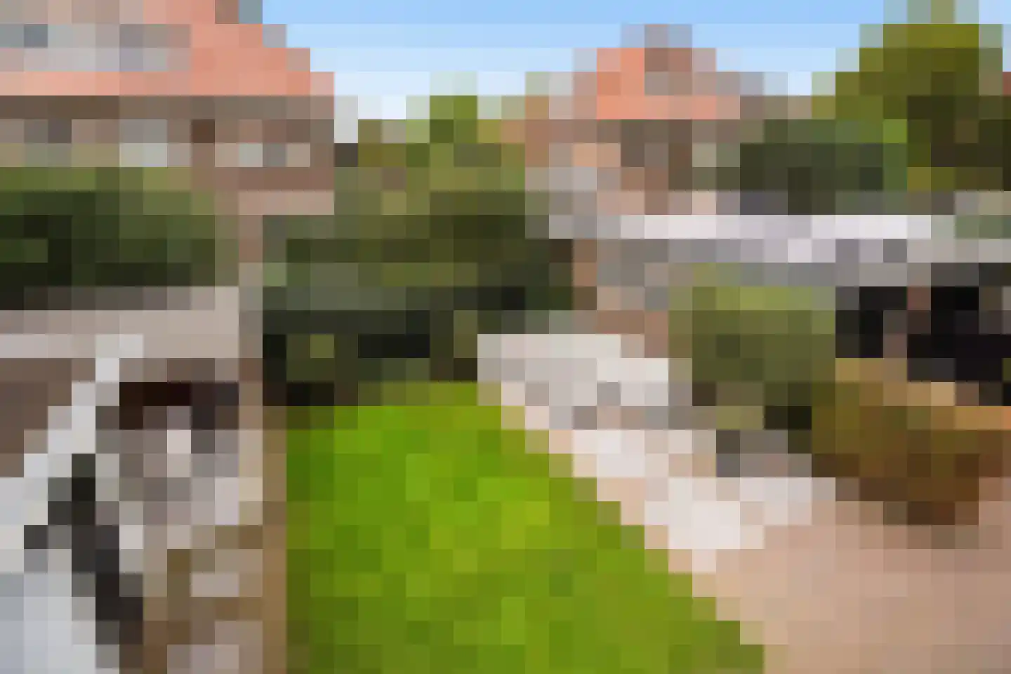 Sijzenlaan 19 Den Haag thumbnail 58
