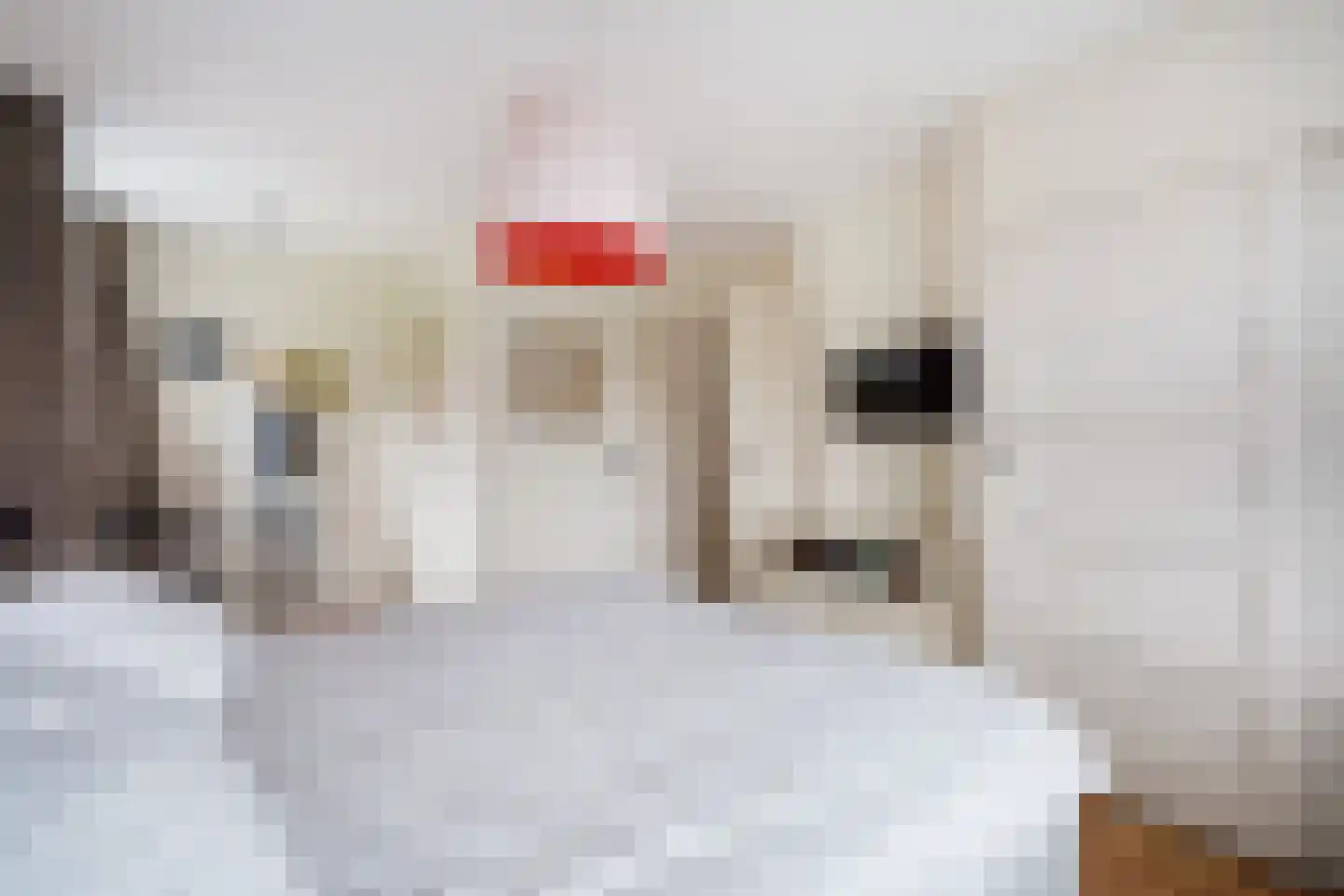 Sijzenlaan 19 Den Haag thumbnail 59
