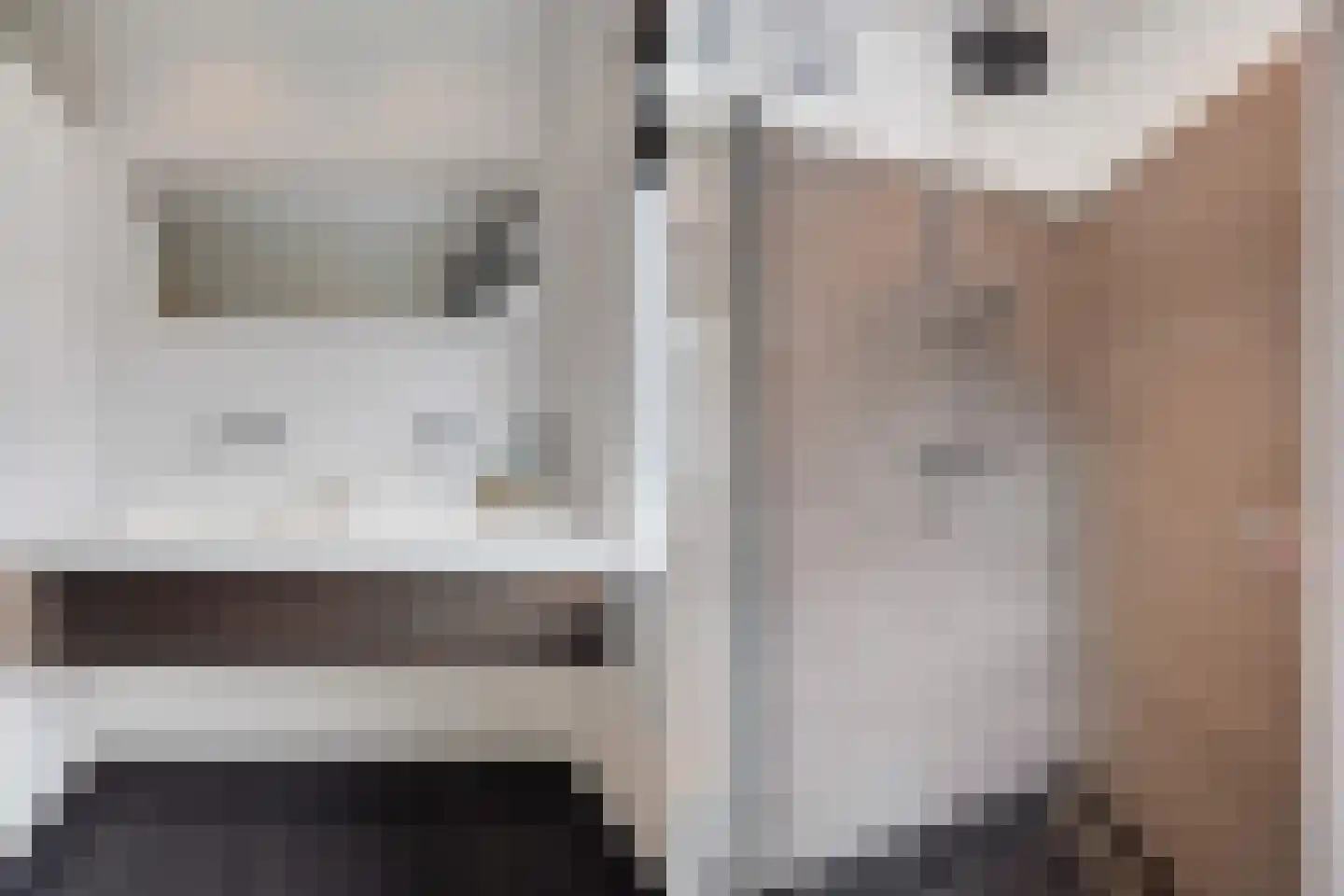 Sijzenlaan 19 Den Haag thumbnail 61
