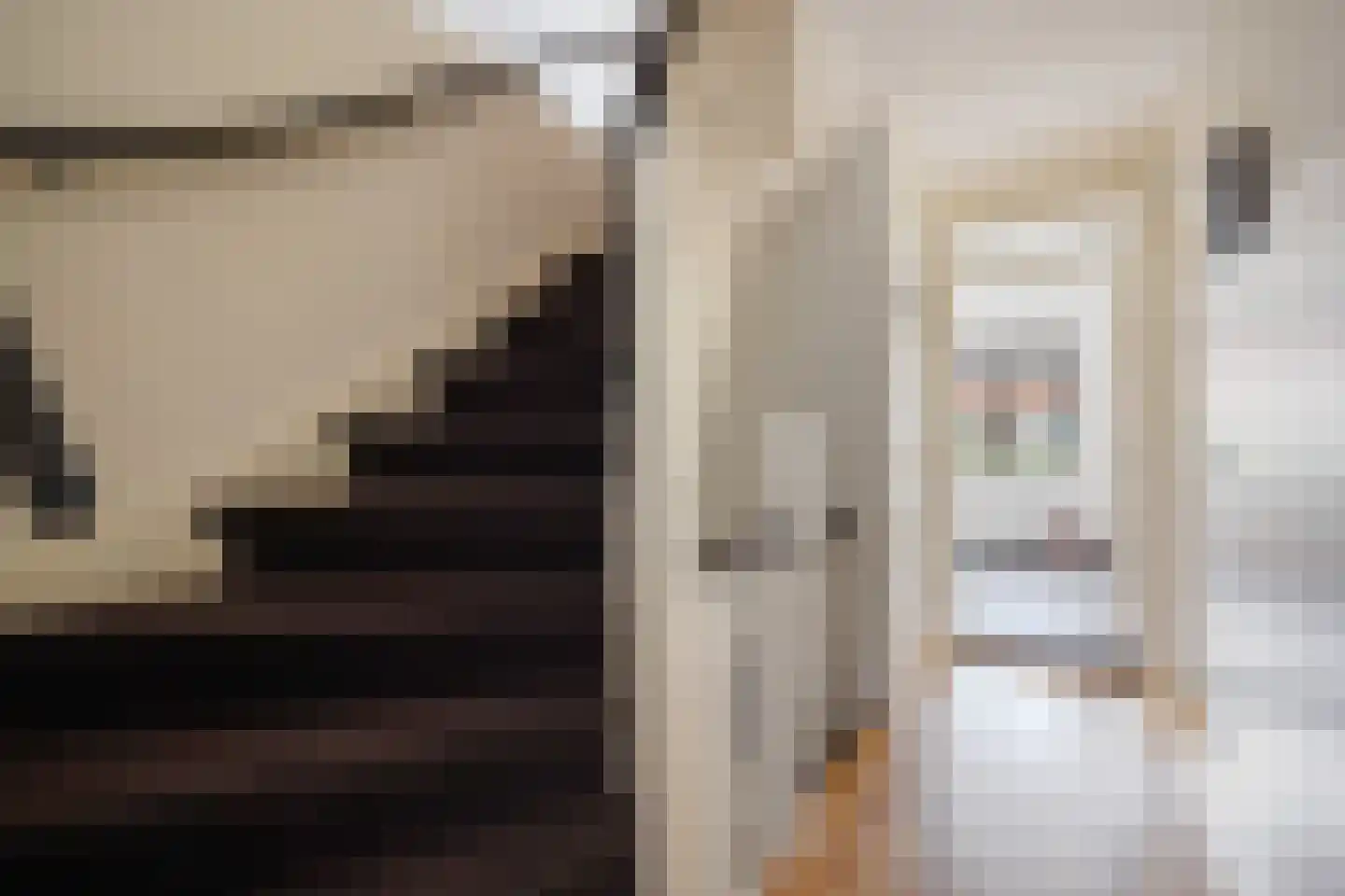 Sijzenlaan 19 Den Haag thumbnail 63