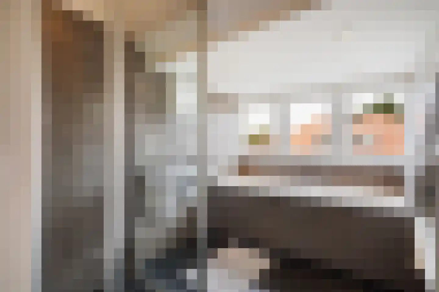 Sijzenlaan 19 Den Haag thumbnail 65