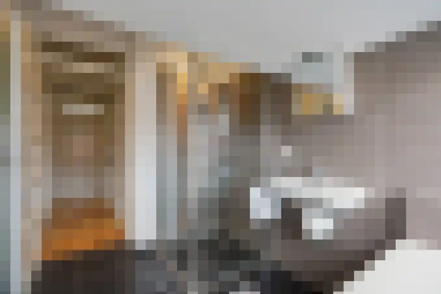 Sijzenlaan 19 Den Haag thumbnail 68