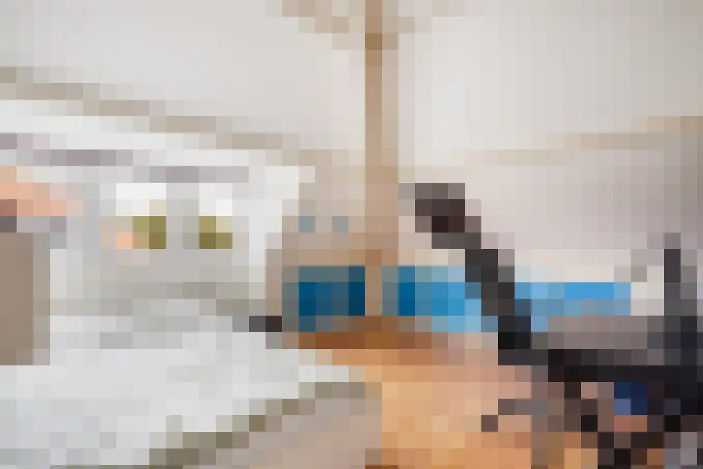 Sijzenlaan 19 Den Haag thumbnail 69