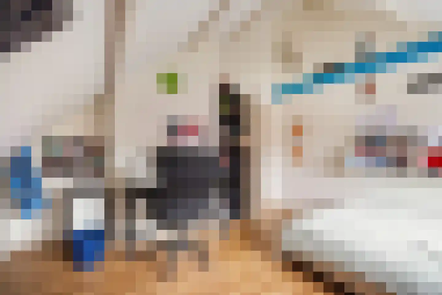 Sijzenlaan 19 Den Haag thumbnail 71