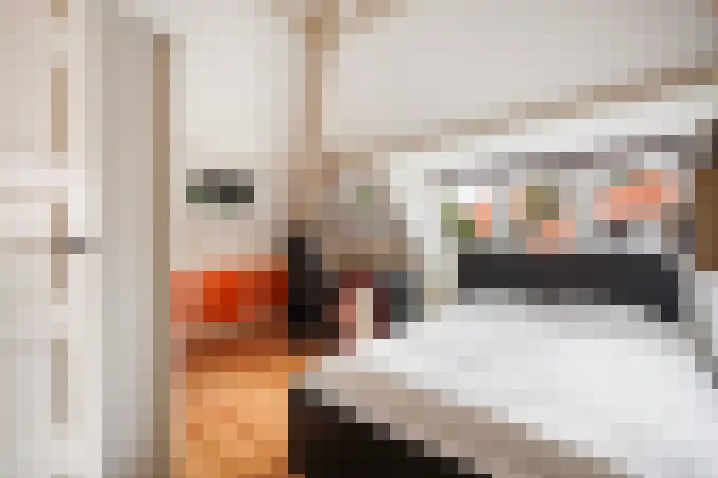Sijzenlaan 19 Den Haag thumbnail 72