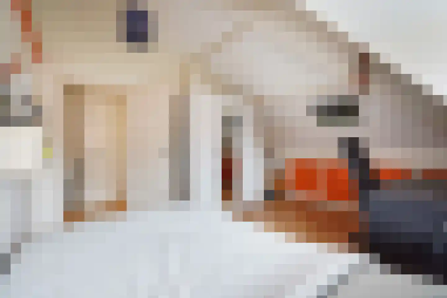 Sijzenlaan 19 Den Haag thumbnail 74
