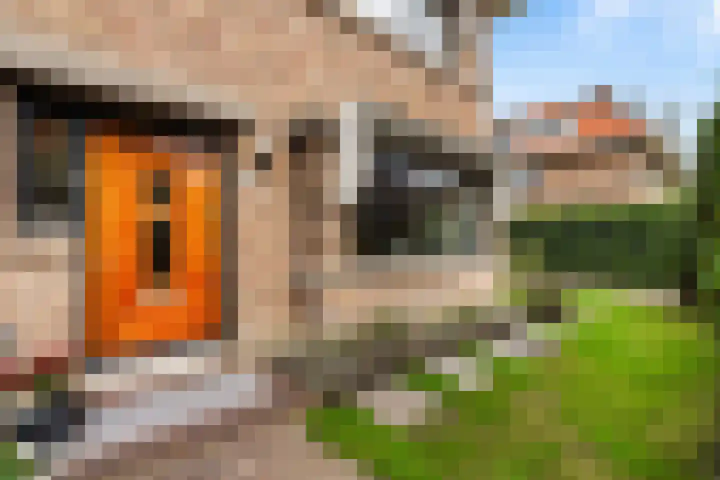 Sijzenlaan 19 Den Haag thumbnail 75
