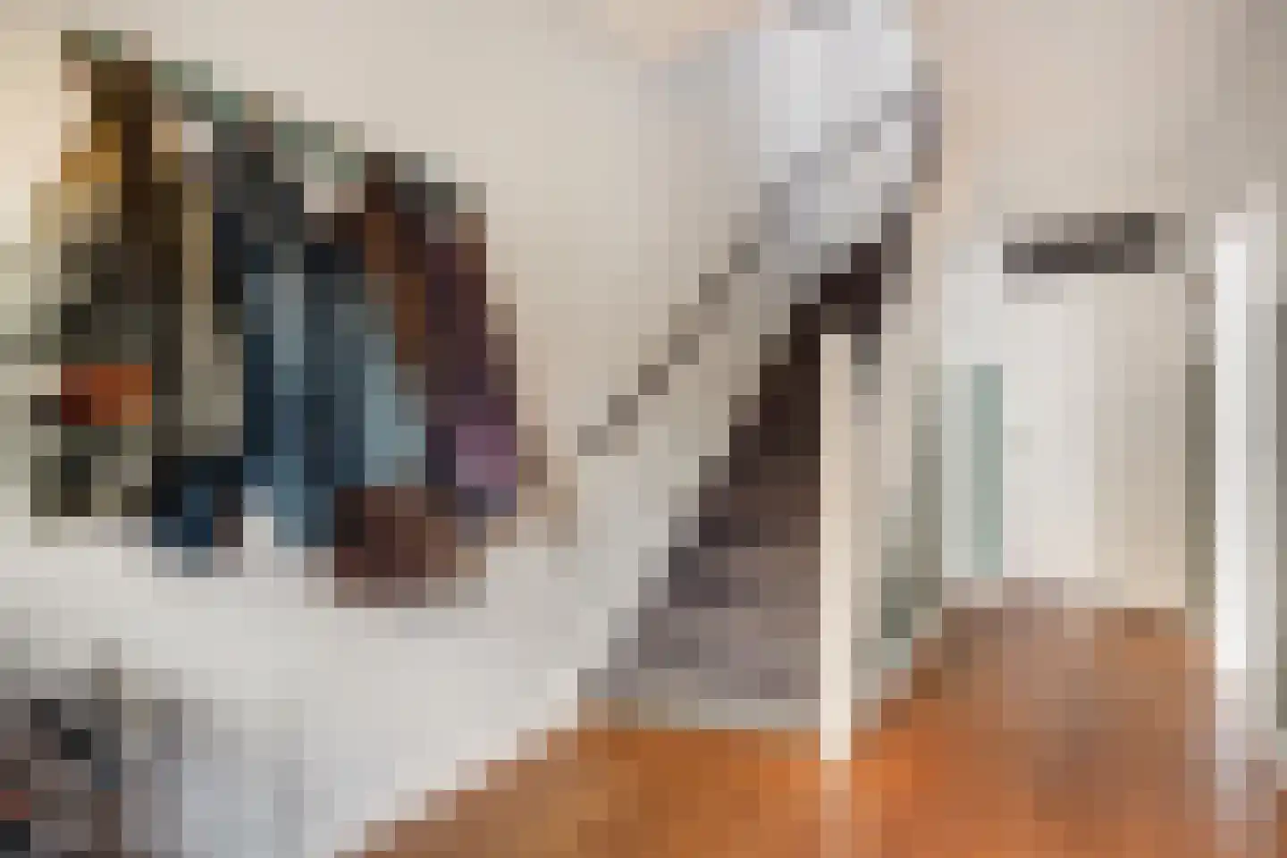 Sijzenlaan 19 Den Haag thumbnail 9