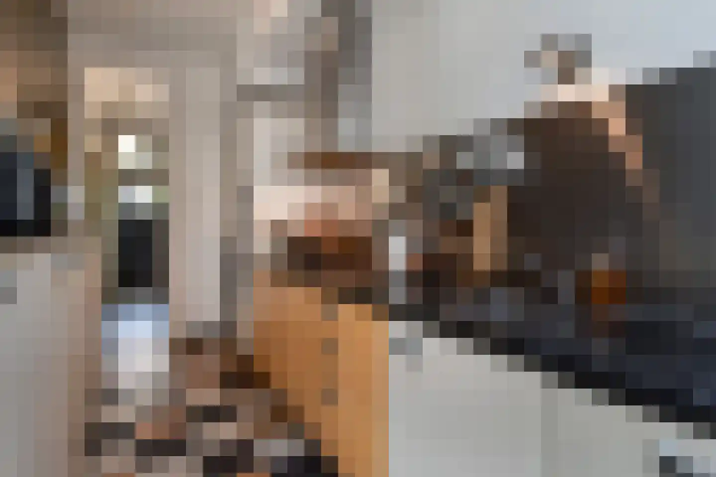 Sijzenlaan 33 Den Haag thumbnail 10